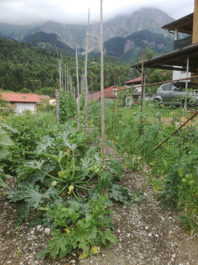 Apartma Vilma Kobarid Luaran gambar
